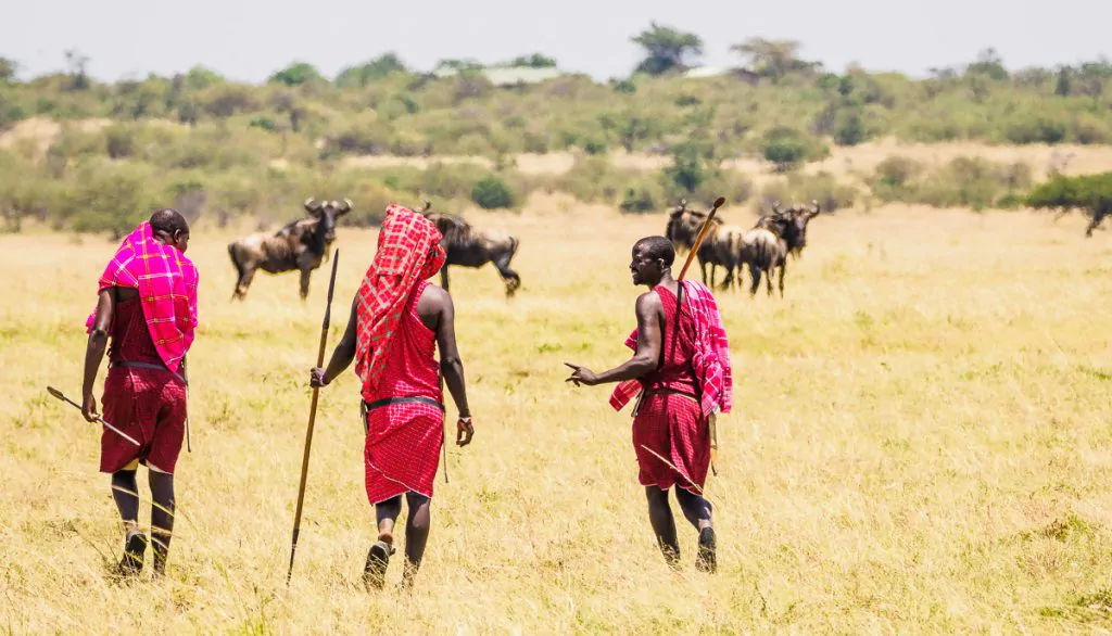 maasai warriors Kenya