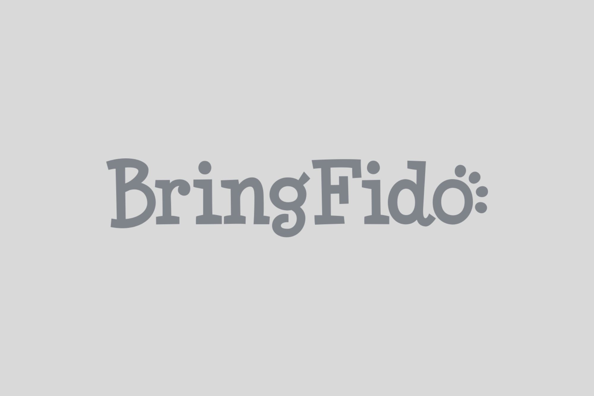 bring fido logo