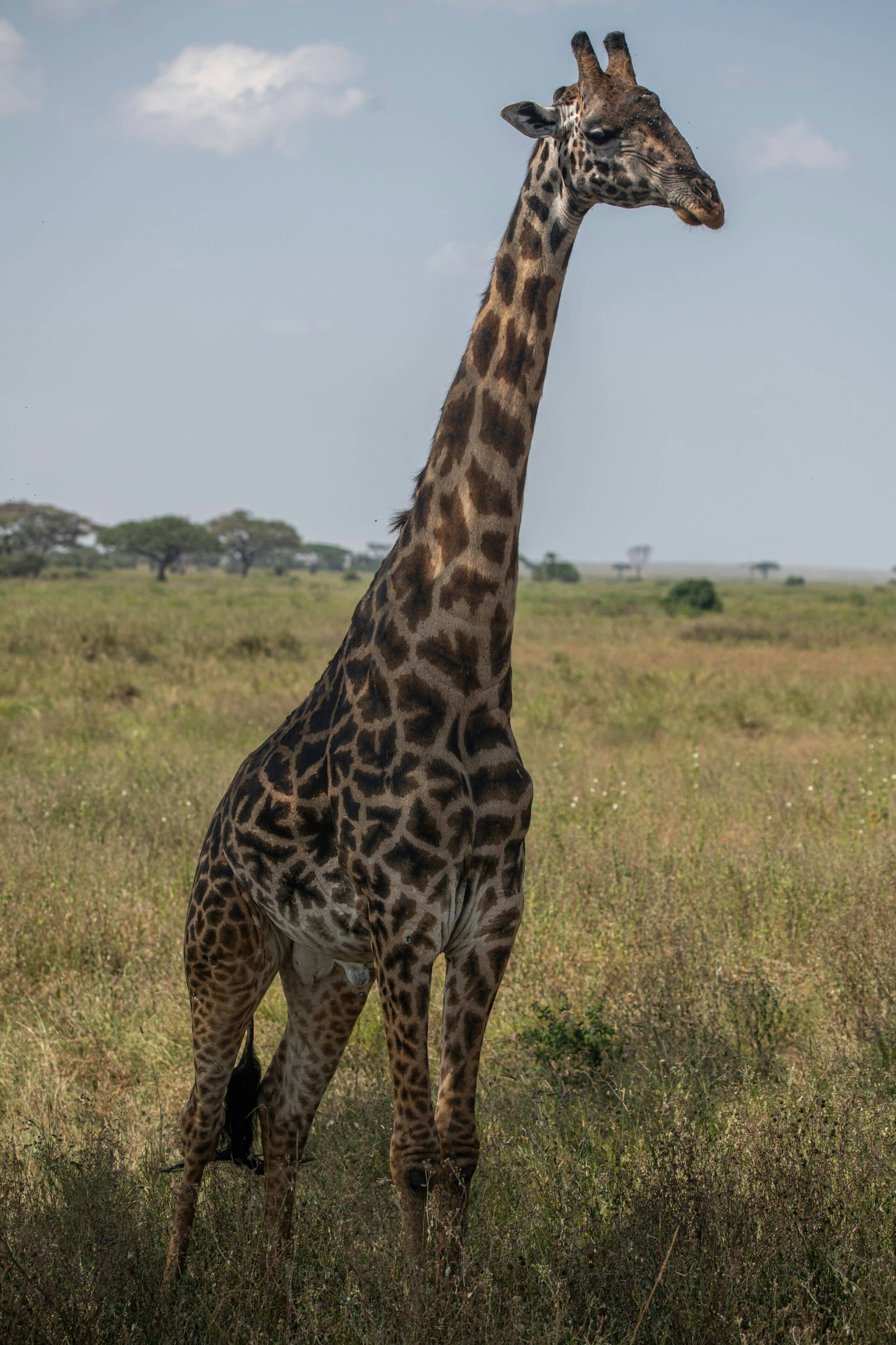 mana5280-nIKDQ2gDfzY-unsplash